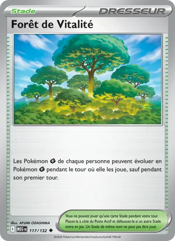 Forêt de Vitalité 117 – Méga-Évolution
