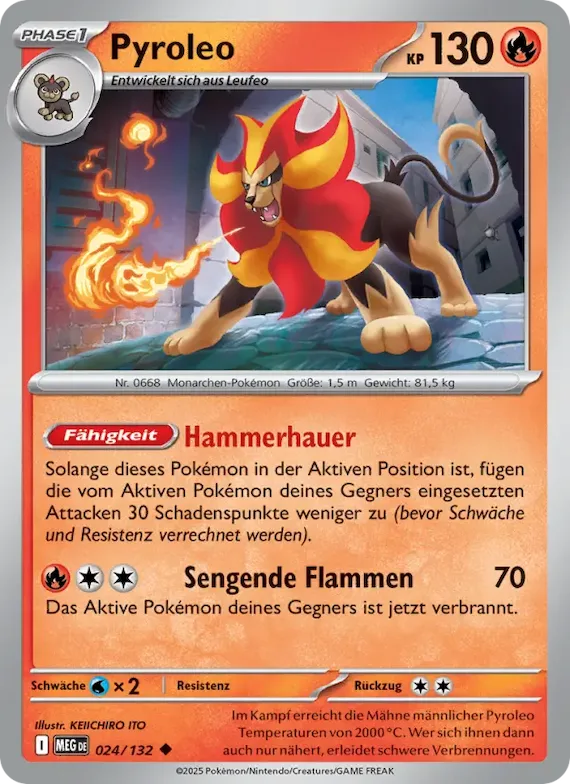 Pyroleo 24 – Mega-Entwicklung
