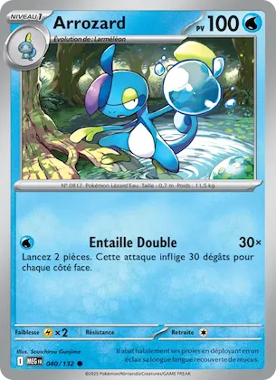 Arrozard n° 40 – Méga-Évolution