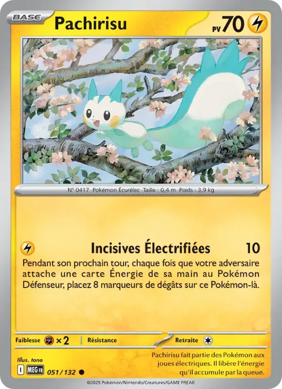 Pachirisu 51 – Méga-Évolution