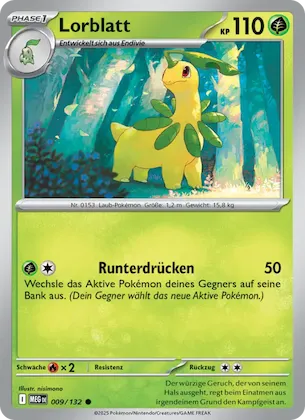 Lorblatt Nr. 9 – Mega-Entwicklung