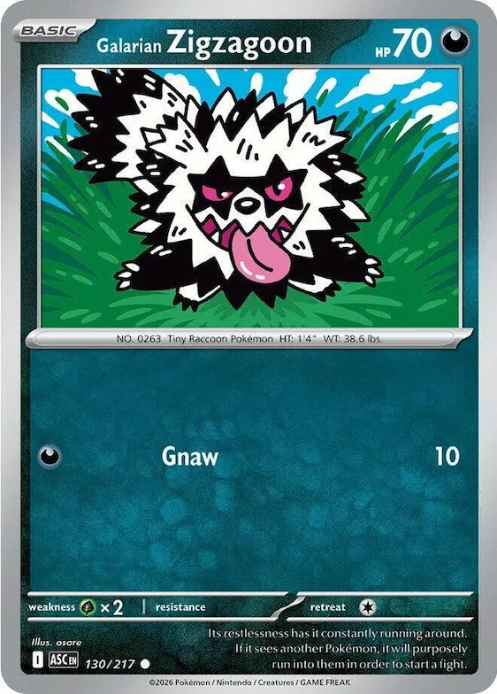 Zigzagoon di Galar 130 – Ascesa Eroica