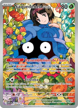 Saquedeneu d'Erika n° 218 – Héros Transcendants