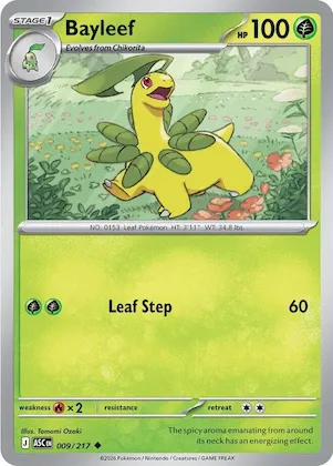 Bayleef #9 – Ascended Heroes