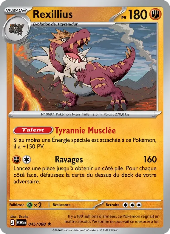 Rexillius 45 – Équilibre Parfait