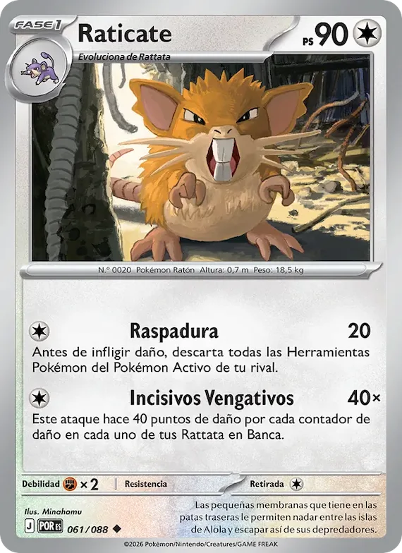 Raticate 61 – Equilibrio Perfecto