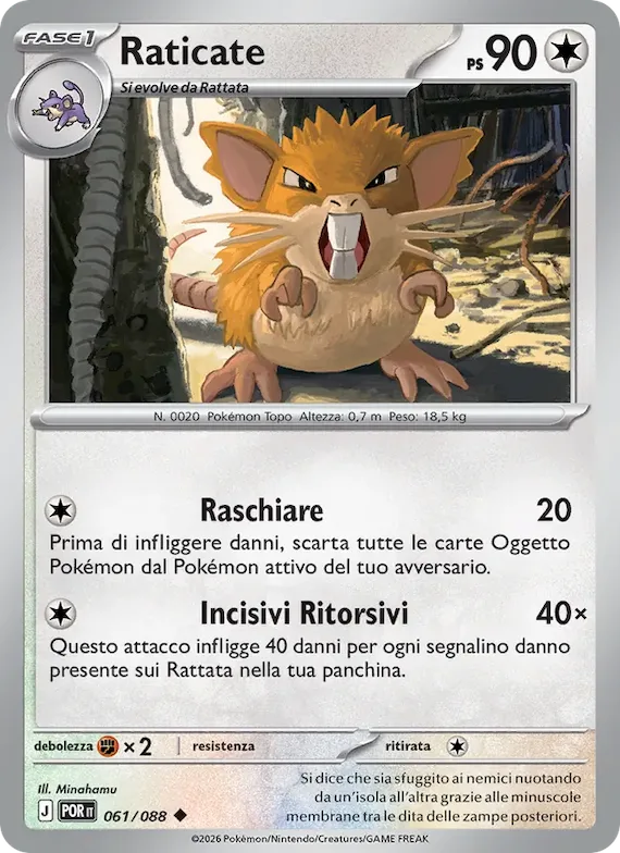 Raticate 61 – Equilibrio Perfetto
