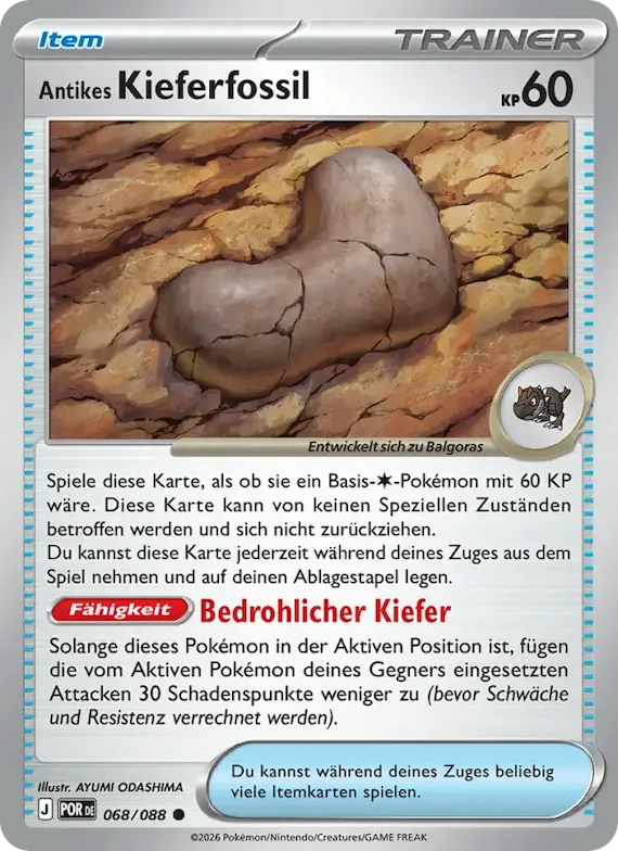 Antikes Kieferfossil 68 – Optimale Ordnung