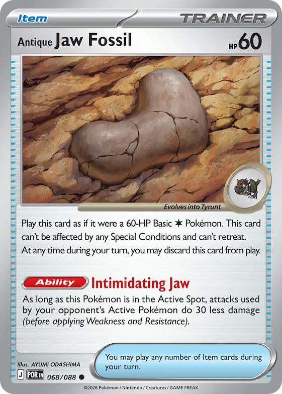 Antique Jaw Fossil #68 – Perfect Order