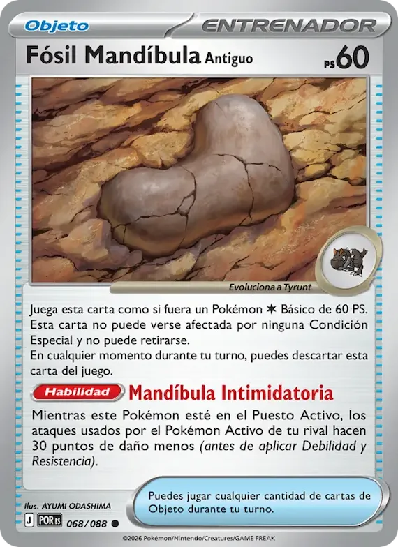 Fósil Mandíbula Antiguo 68 – Equilibrio Perfecto