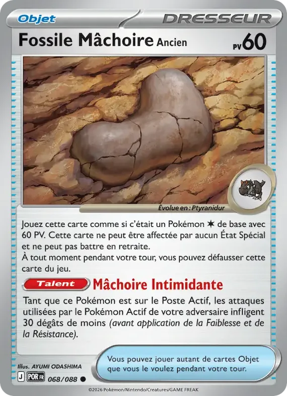Fossile Mâchoire Ancien 68 – Équilibre Parfait