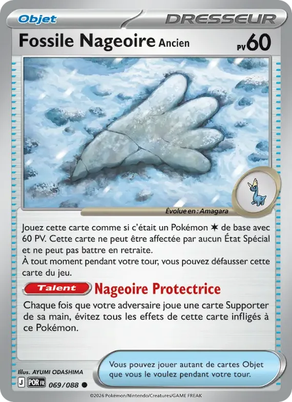Fossile Nageoire Ancien 69 – Équilibre Parfait