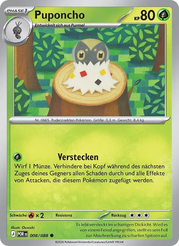 Puponcho 8 – Optimale Ordnung