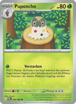 Puponcho Nr. 8 – Optimale Ordnung