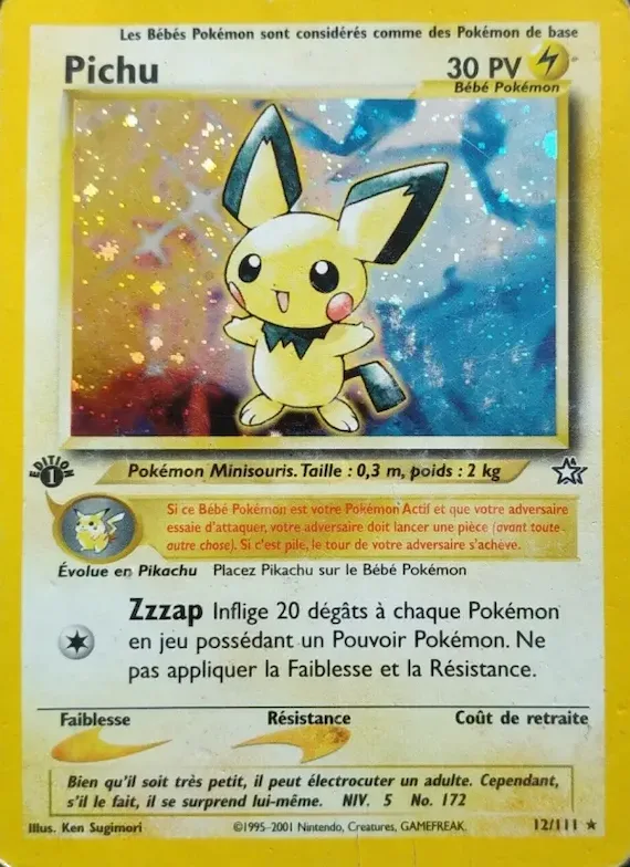 Pichu 12 – Neo Genesis