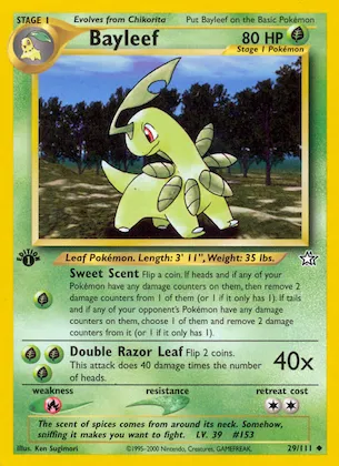 Bayleef #29 – Neo Genesis