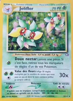 Joliflor n° 3 – Neo Genesis