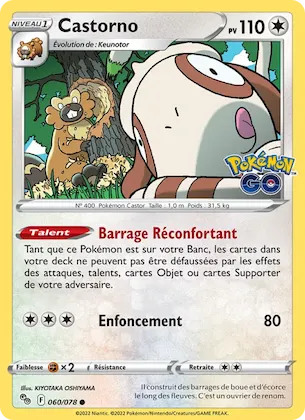 Castorno n° 60 – Pokémon GO
