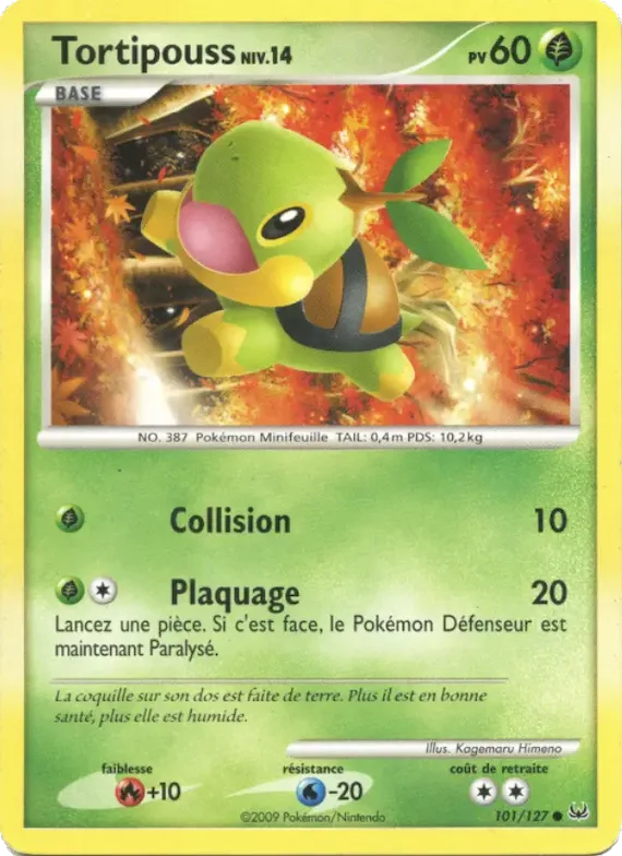 Tortipouss 101 – Platine