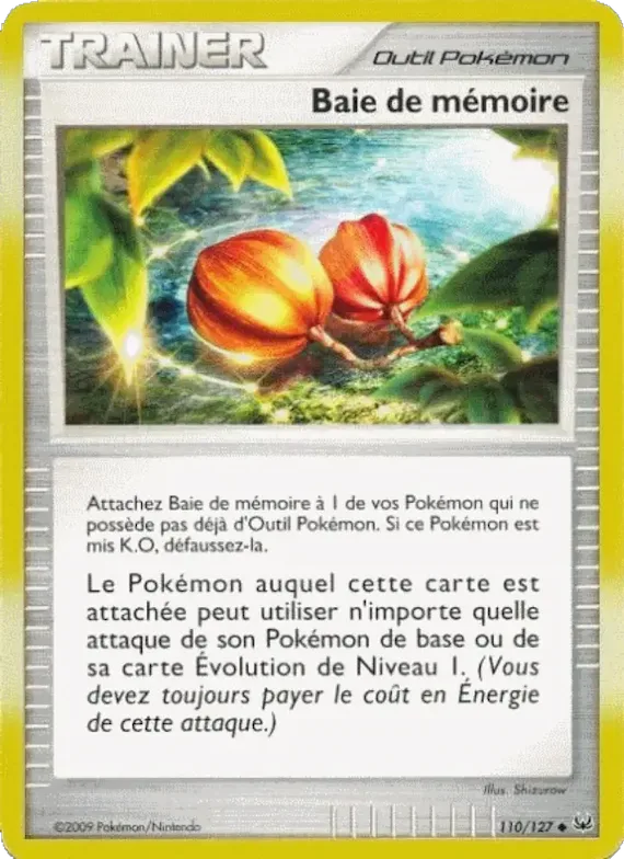 Baie de mémoire 110 – Platine