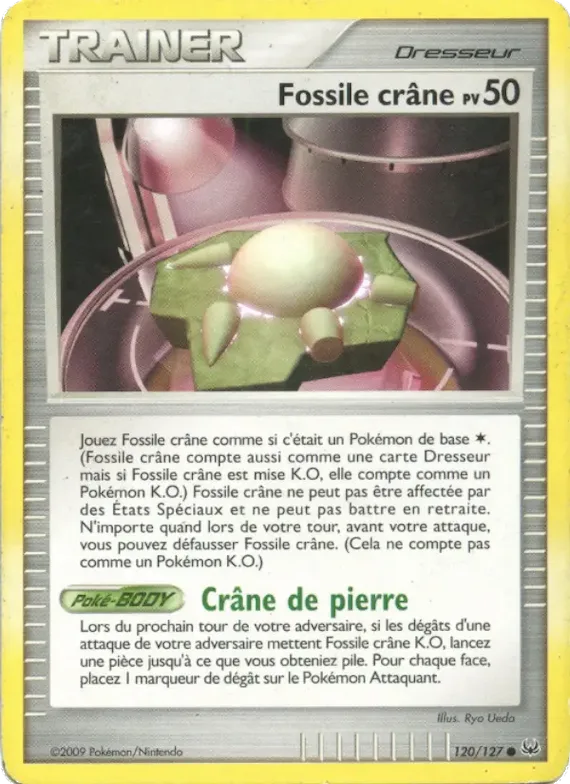 Fossile crâne 120 – Platine
