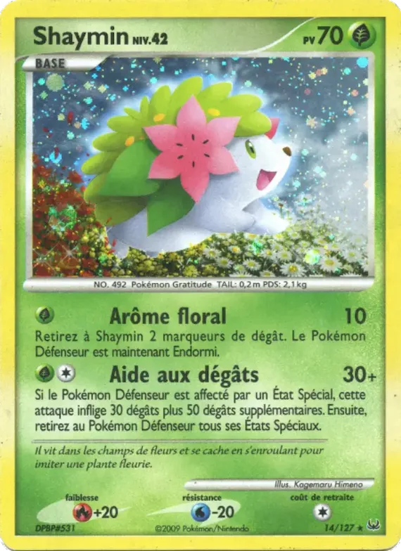 Shaymin 14 – Platine