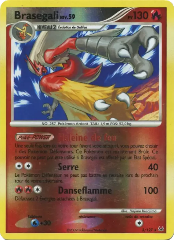 Brasegali 3 – Platine