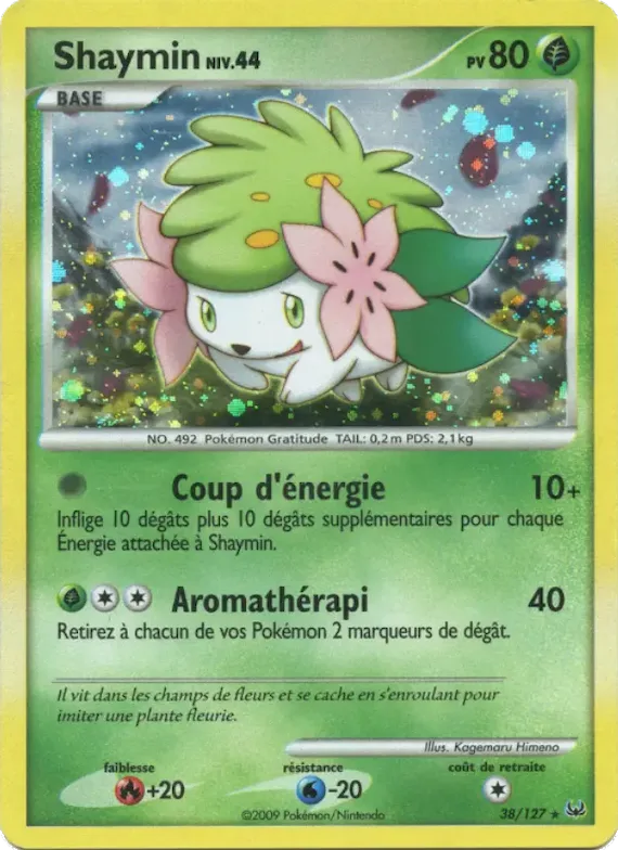 Shaymin 38 – Platine