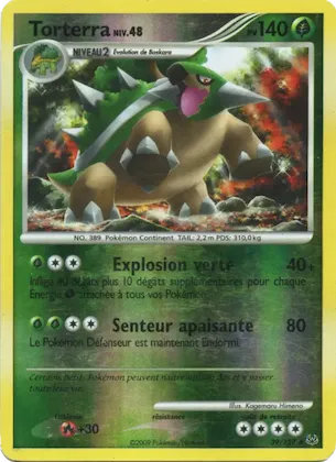 Torterra n° 39 – Platine