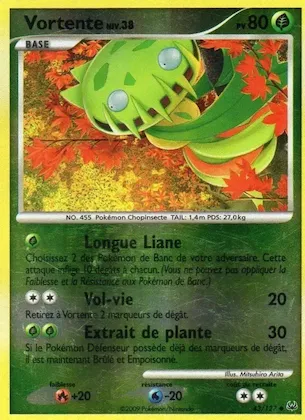 Vortente n° 43 – Platine
