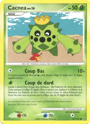 Cacnea n° 67 – Platine