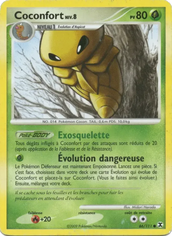 Coconfort Niv. 8 66 – Rivaux Émergeants