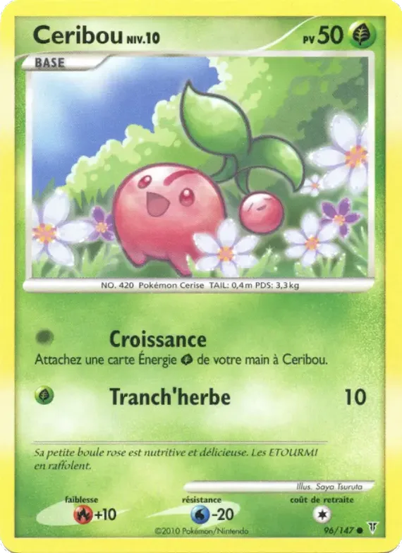 Ceribou 96 – Vainqueurs Suprêmes