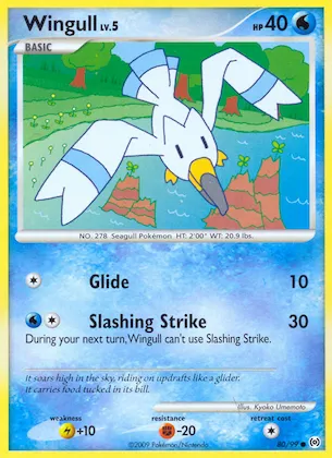 Wingull Nr. 80 – Arceus
