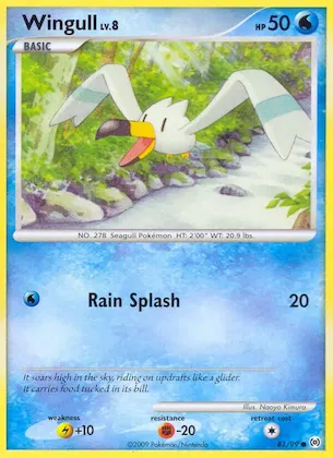 Wingull n° 81 – Arceus