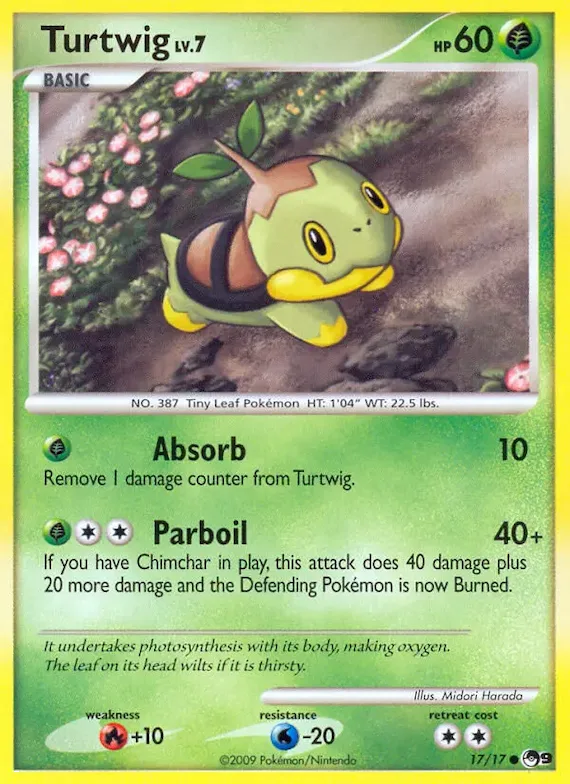Tortipouss 17 – POP Série 9
