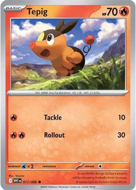 Tepig 11 – Llama Blanca