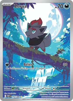 Zorua 142 – Flamme Blanche