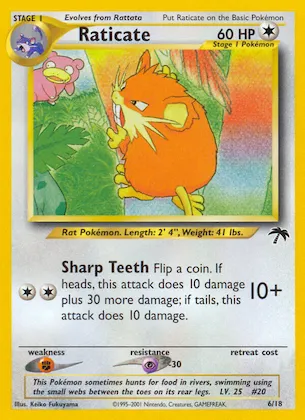 Raticate n° 6 – Southern Islands