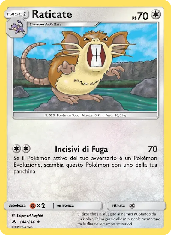 Raticate 144 – Legami Inossidabili