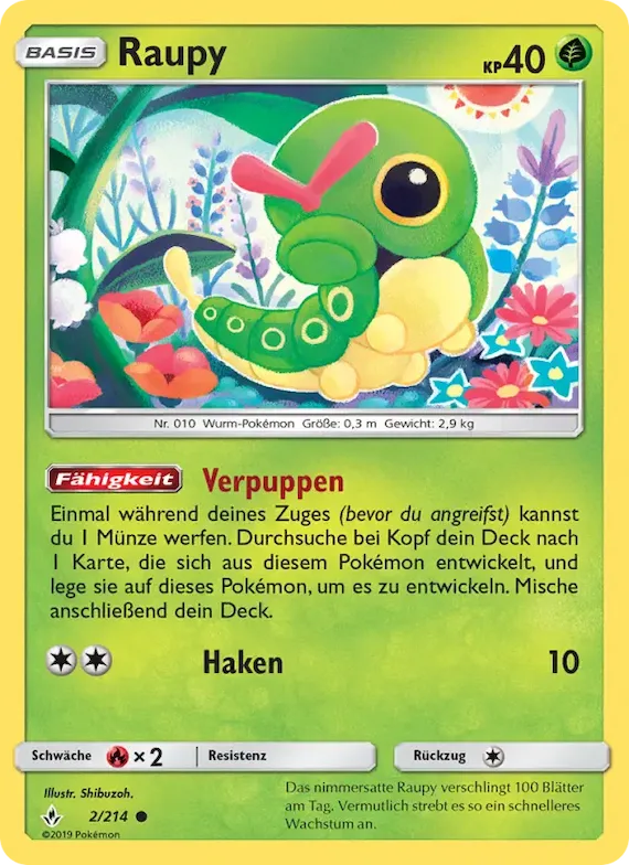 Raupy 2 – Kräfte im Einklang