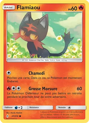 Flamiaou n° 27 – Alliance Infaillible