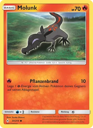 Molunk Nr. 30 – Kräfte im Einklang