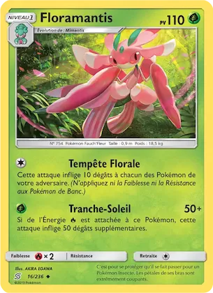 Floramantis n° 16 – Harmonie des Esprits