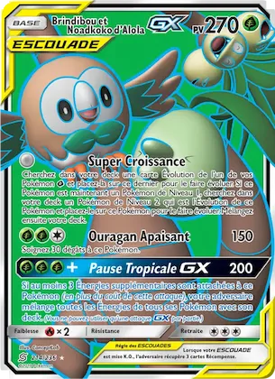 Brindibou et Noadkoko d’Alola GX n° 214 – Harmonie des Esprits