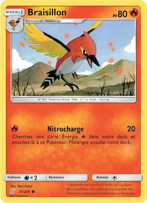 Braisillon n° 31 – Harmonie des Esprits
