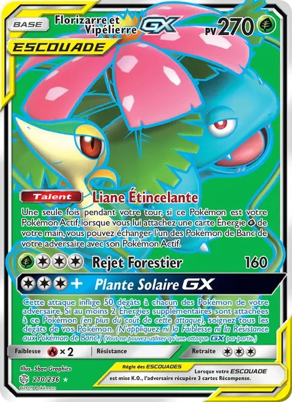 Florizarre et Vipélierre GX 210 – Éclipse Cosmique