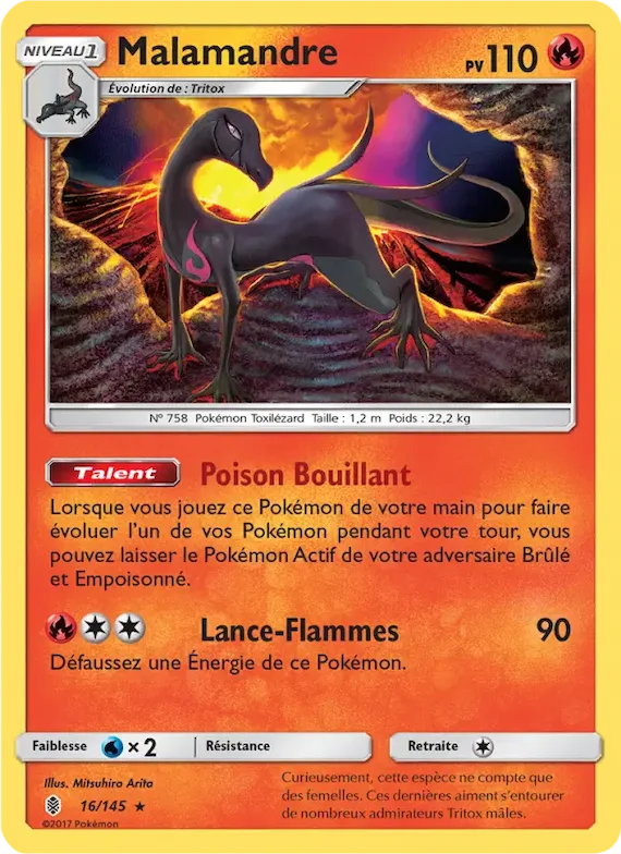 Malamandre 16 – Gardiens Ascendants