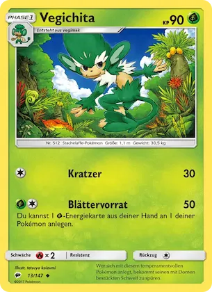 Vegichita Nr. 13 – Burning Shadows