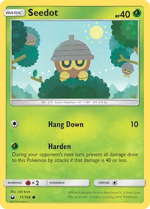 Seedot #11 – Celestial Storm